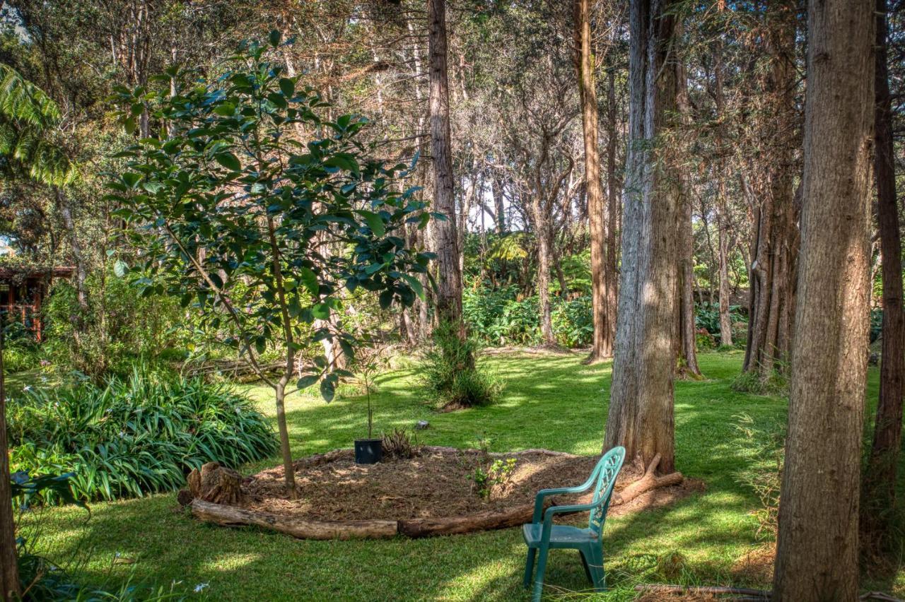 וולקנו Crater Rim Cabin מראה חיצוני תמונה
